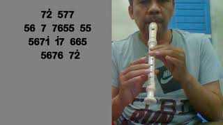 Ed Sheeran - Perfect (Recorder)