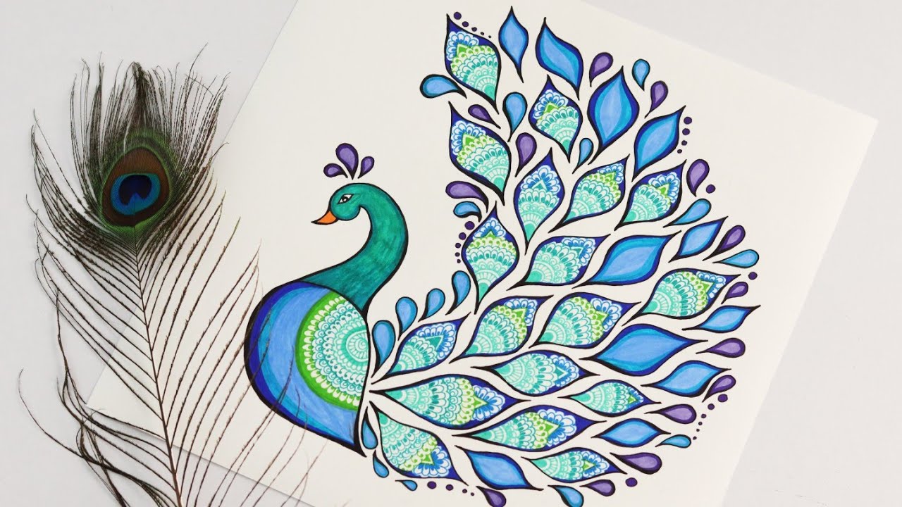 How to draw Peacock with beautiful feather pattern / step by step