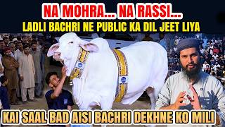 Be-Misaal Pyar Lajawab Shouq Wali Ladli Bachri ne Mehfil Loot Li | Jameel Memon Society ki Ronaqain