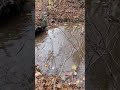 Draining a Flooded Road