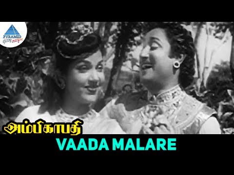 Ambikapathi old movie Songs | Vaada malare Video Song | Sivaji Ganesan | Bhanumathi