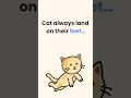 Why do cats ALWAYS land on their feet? 🐱 #shorts