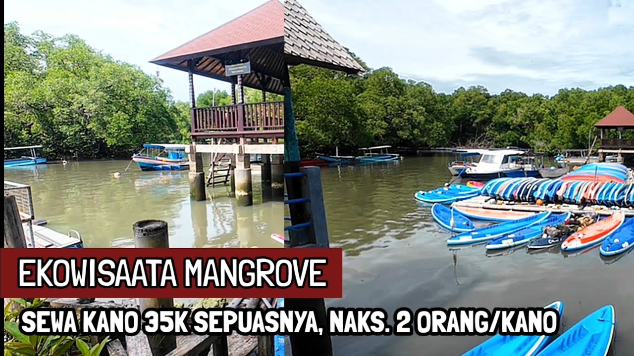PETUALANGAN SERU DI HUTAN MANGROVE DENGAN NAIK KANO, EKOWISATA BATU LUMBANG BALI(27/2/2026)