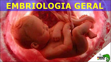 O que é classificação Embriológica?