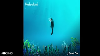 Omah Lay - Understand (Best Lyrics Video)