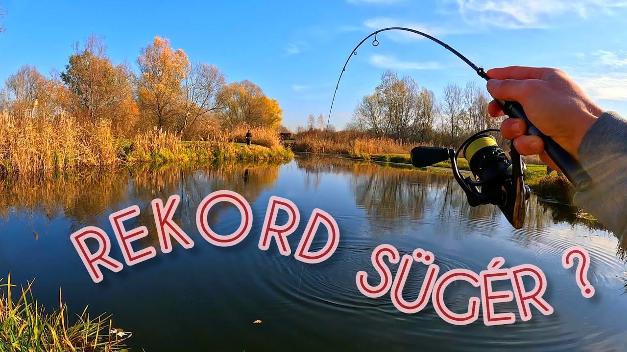 REKORD SÜGÉR az ÚJ BOTRA?! - Mifine Nano Jig