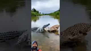 Crocodile Attack Leporad #viralreel #animals #animalworld #wildlife