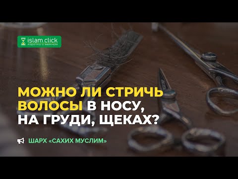 Можно ли стричь волосы в носу, на груди, щеках? | Шейх Абу Яхья