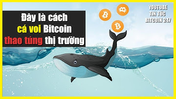 Đây là cách cá voi Bitcoin thao túng thị trường