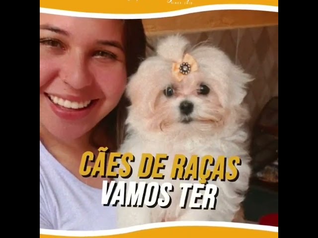 Vídeo