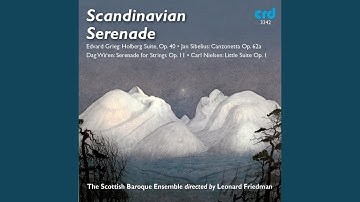 Serenade for Strings, Op. 11: Prelude - Allegro molto