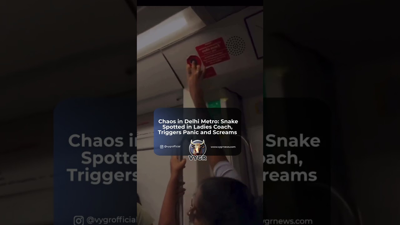 Snake Scare in Delhi Metro Ladies Coach | Viral Video Sparks Panic & Reactions