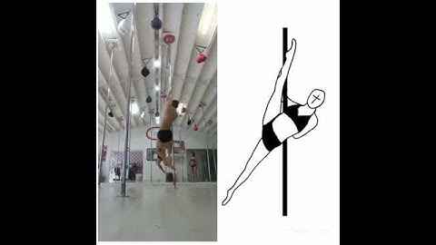 S29 - BACK SUPPORT SPLIT T.V: 0.5 @weprieto