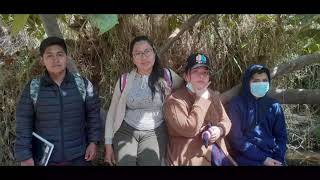Download Las Aventura De La Idp Adolescente Album Video MP3 Las Aventura De La Idp Adolescente Album