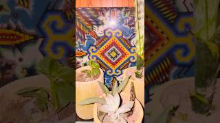 Arriba Nayarit! Base Artesanal y natural #arte #bambu #huichol #kora #artesano #plantas #suculentas