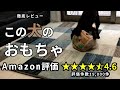 Amazon評価4.6！犬のおもちゃが高評価すぎるので、ポチってレビューします／トイプードル／おもちゃ／検証