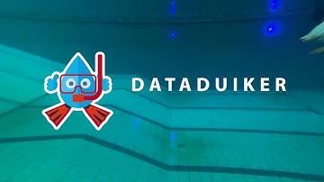 Dataduiker