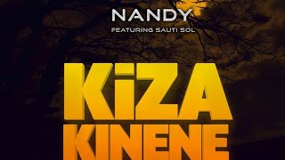 nandy ft Sauti sol -  Kiza Kinene