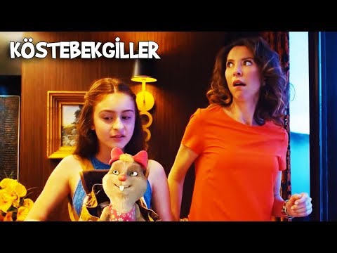 Kral Dairesine Yerleştiler | Köstebekgiller: Perili Orman Animasyon Filmi