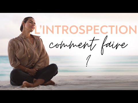 Vidéo: Qu'est-ce qu'un autre mot pour introspection ?