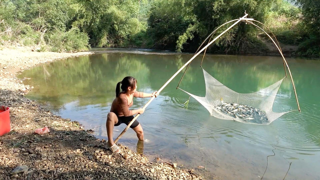 Girl uses bamboo cage and net to catch fish, Caught A Lot Of Tuna Fishes