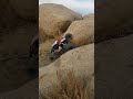 AXIAL GILAMON GAP