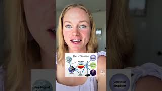 Mormon Author Theory