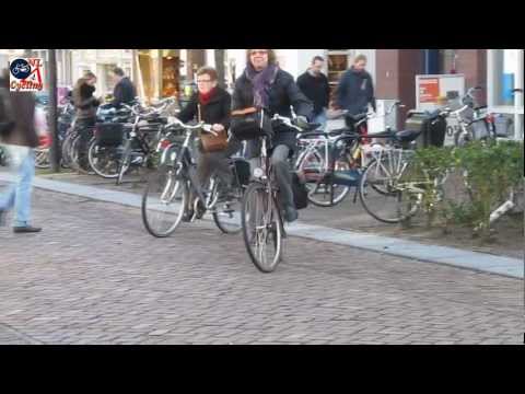 Cycle route from Oisterwijk to Tilburg (Netherlands) [176]