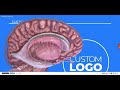 Biocloud 3d anatomy custom branding demo