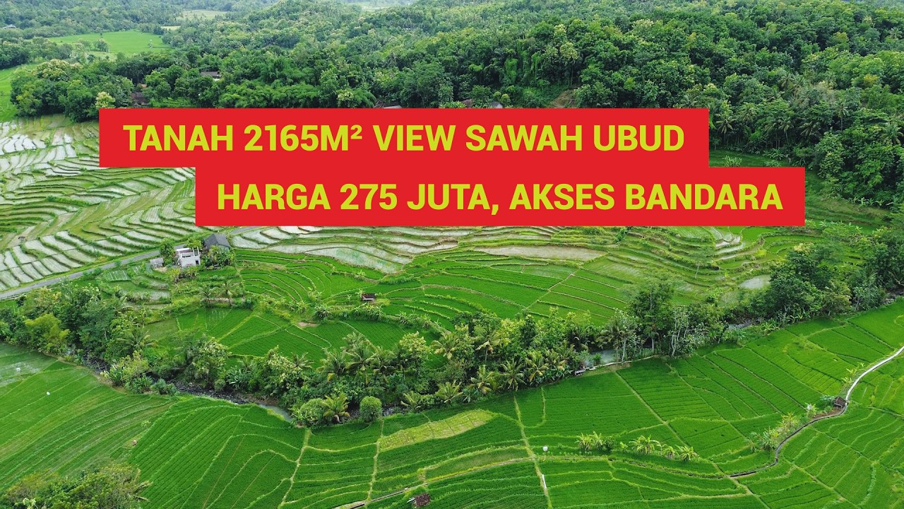 Tanah 2165m² View Sawah Ala Ubud, Harga 275 Juta Dekat Wisata Kuliner, Villa & Bandara NYIA