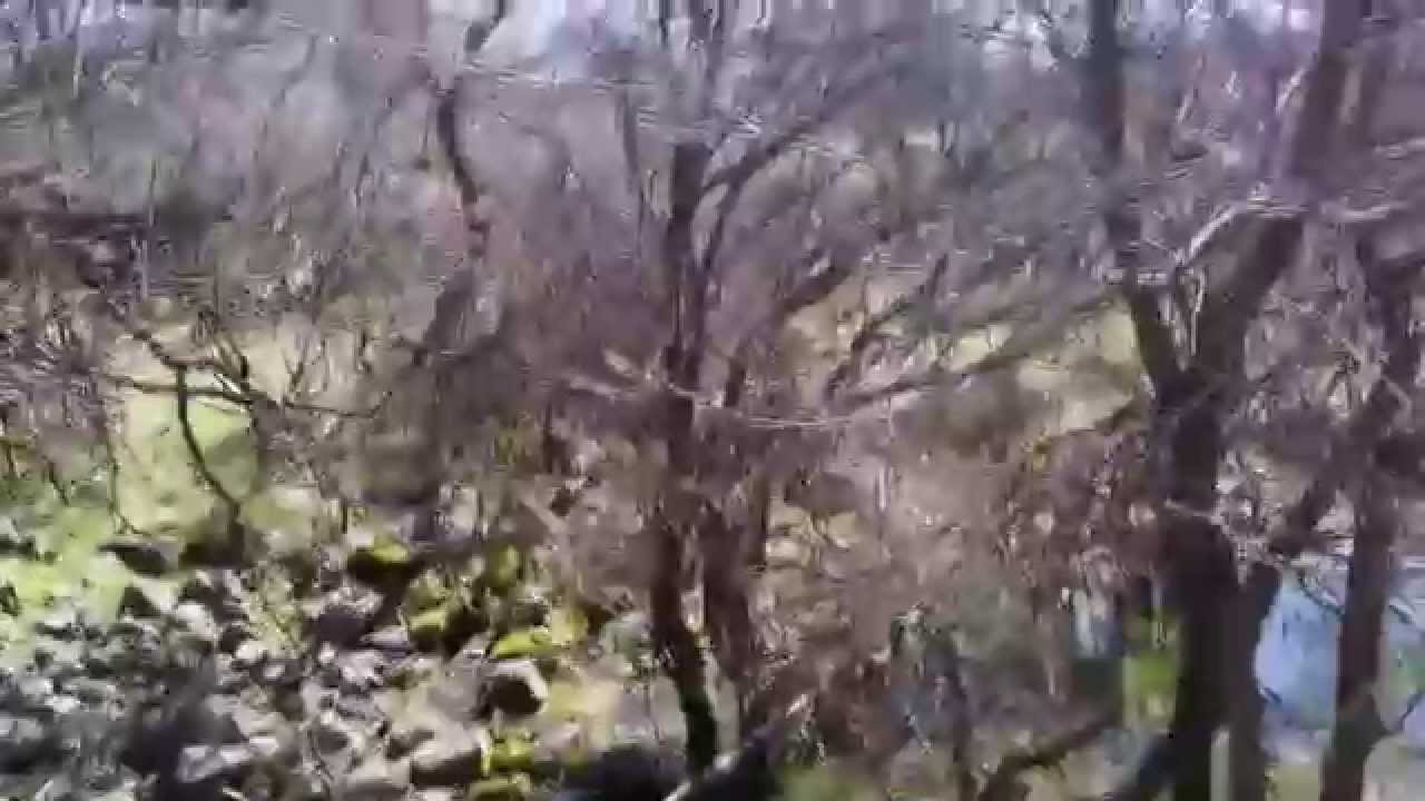 UNDISCOVERED ANCIENT CITY -ГОРНИ ДИСАН НЕГОТИНО