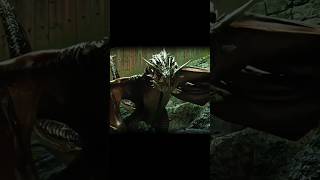 Harry Vs The Deadliest Dragon Harry Potter And The Goblet Of Fire