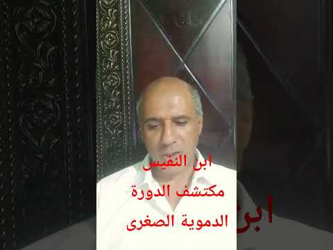 ابن النفيس مكتشف الدورة الدموية الصغرى الاجسام