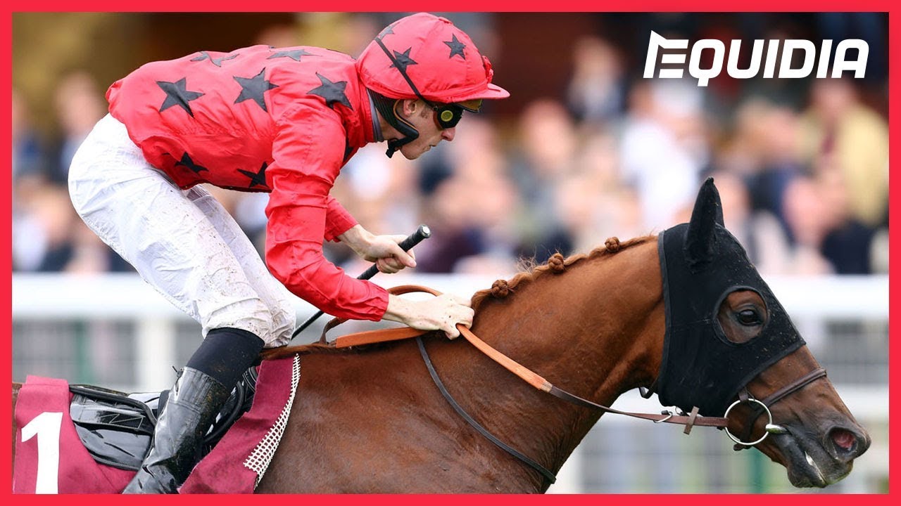 19年 ダニエルウィルデンシュタイン賞 G2 レース結果と動画 海外競馬データベース 19年 ダニエルウィルデンシュタイン賞 G2 レース結果と動画 海外競馬データベース
