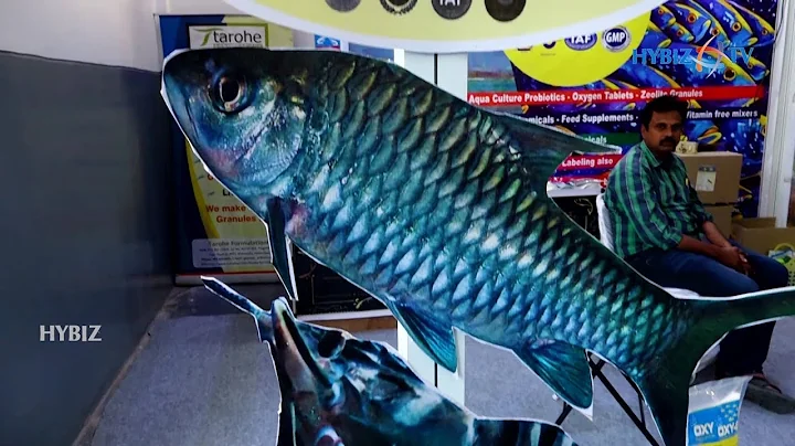 Tarohe Formulations | Fish Tank Oxygen Tablet Oxygen Bleach Powder