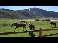 Colorado's Premier Horse Property - Rancho De Malo