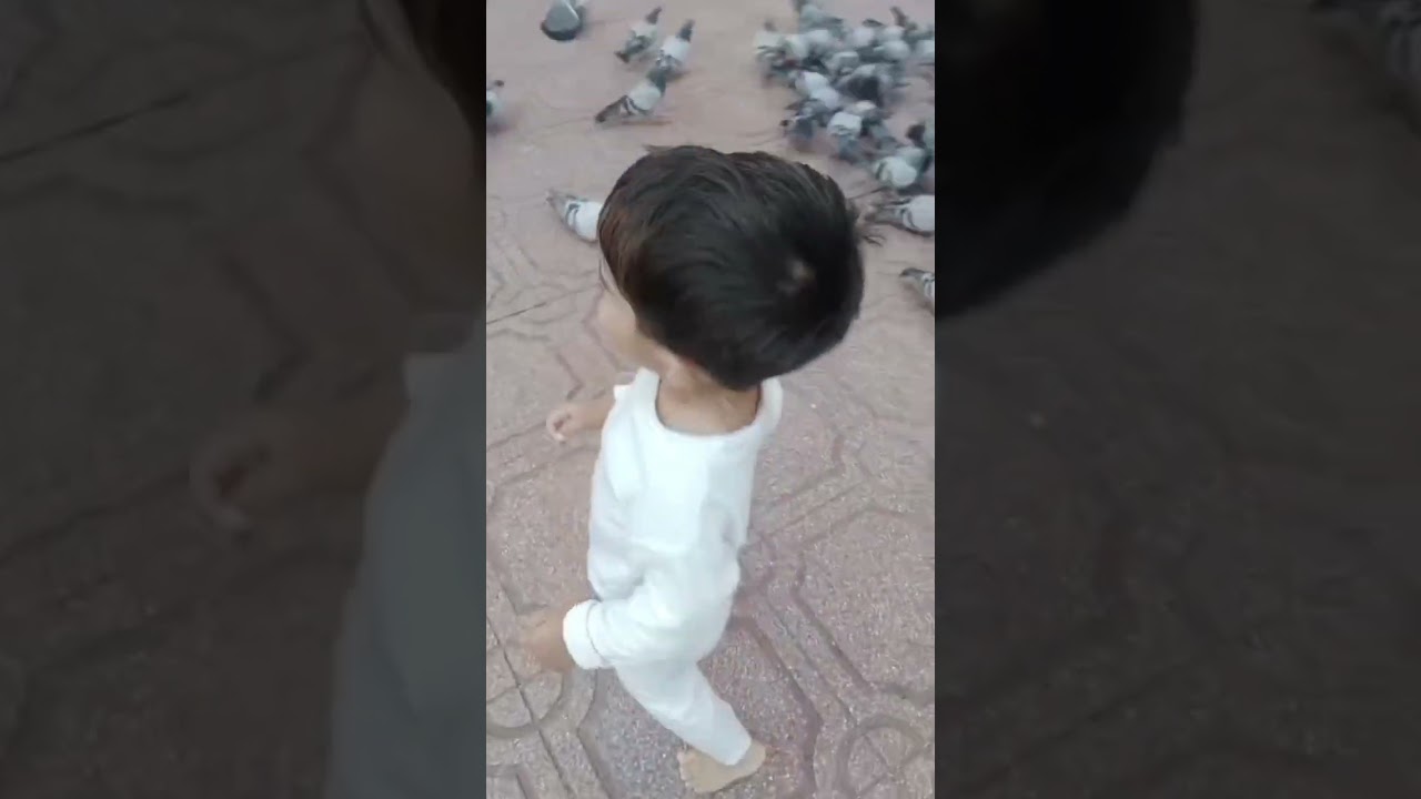 Muhammad Salaar Haji