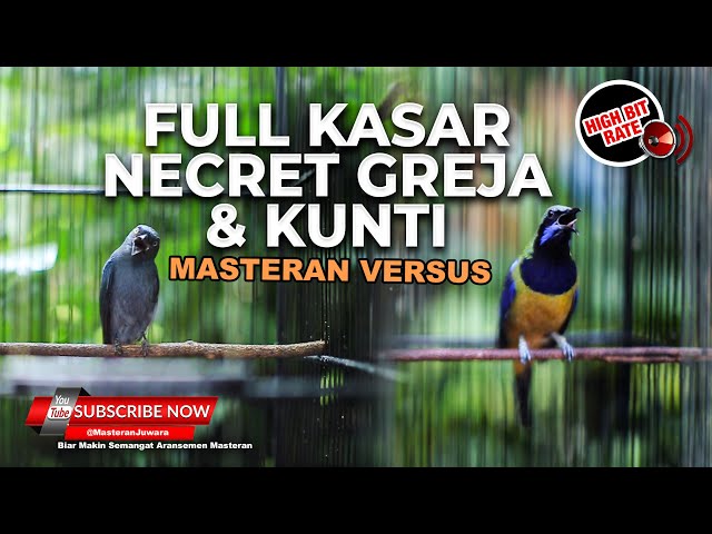 Chontak orniga mushuk Chontak orniga mushuk