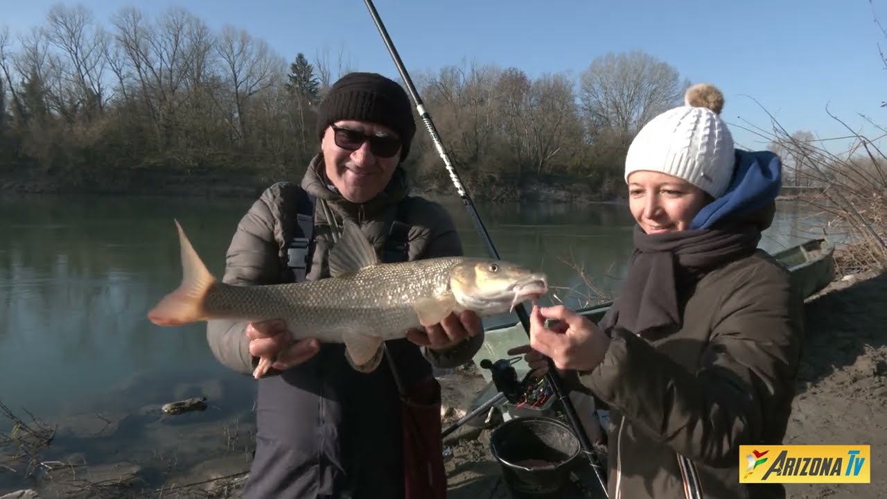 MONDO PESCA - BARBI CON LE MANI - CAVEDANI E BREME - CROTTA D'ADDA  - CREMONA - FIUME ADDA  #pesca