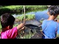 Wow!! Amazing Smart Boys Uses Bow and Gun Shooting Fish In Cambodia - How to Shooting Fish