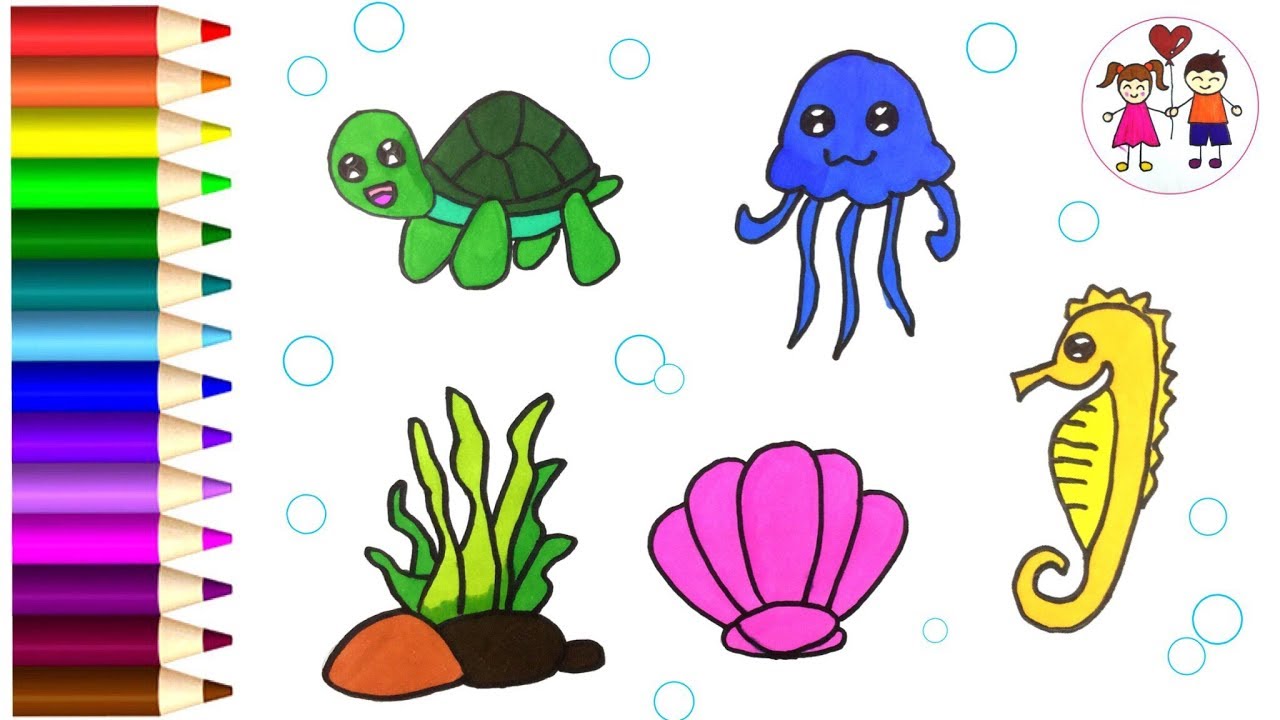 View Ocean Animals Drawing Step By Step Pictures