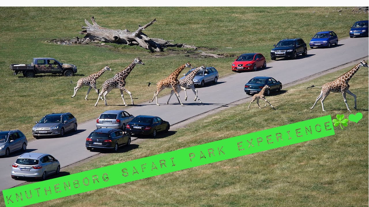 KNUTHENBORG SAFARI PARK 