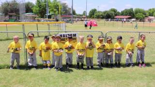 My sons last teeball game 🤘🤓