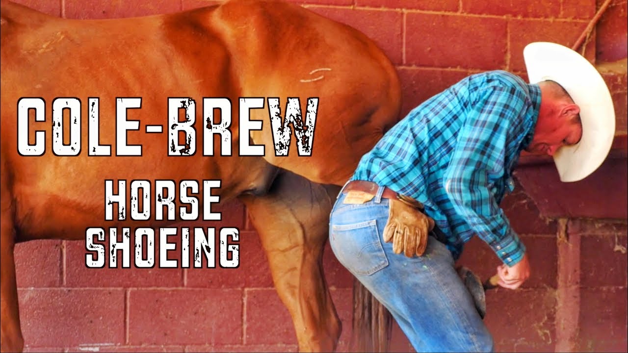 Shoeing Bandito - Rodeo Time 101 cowboys schedule for 2019