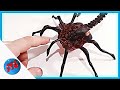 Sculpting Royal Queen Facehugger from clay/Minute #5