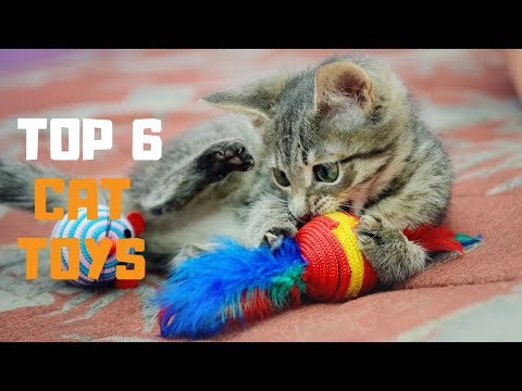 best-cat-toys-in-2019---top-6-cat-toys-review