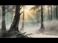 Vol.4 – Beyond the Veil – Harmonic Awakening | Sona Classics