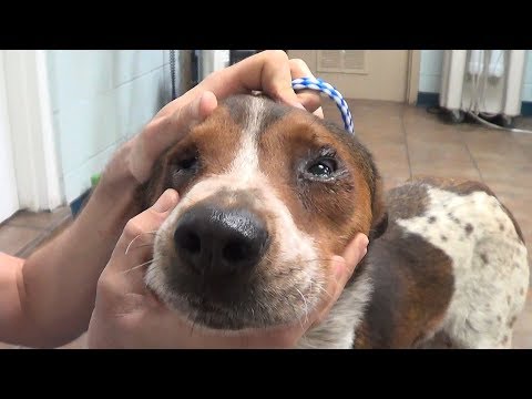 Can You Imagine This Pain?!?! - Can You Imagine This Pain?!?!