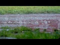 [10 Hours] Relaxing Rain Close Up - Video &amp; Audio [1080HD] SlowTV