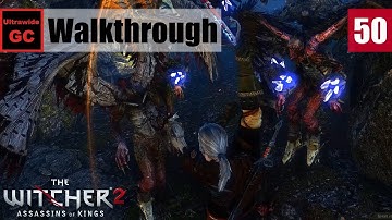 The Witcher 2 [#50] - Chapter 2 Iorveth - The Queen Harpy Contract || Walkthrough